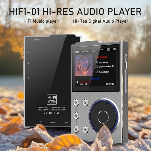 Hifi mp3 player lossless dsd - hifi,